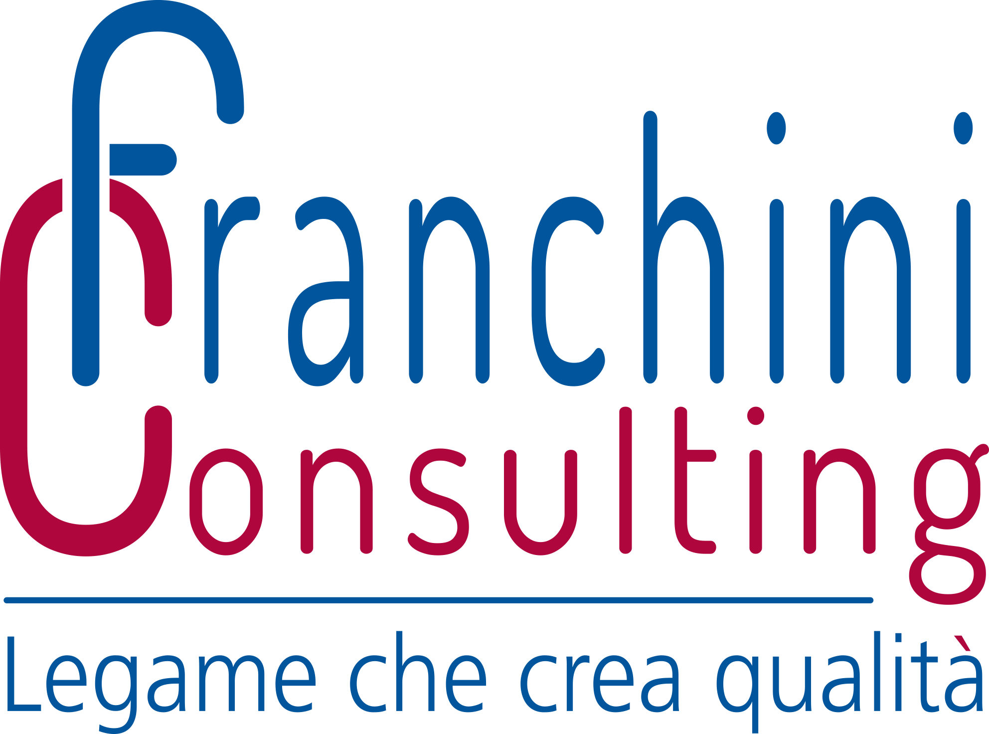 Franchini Consulting